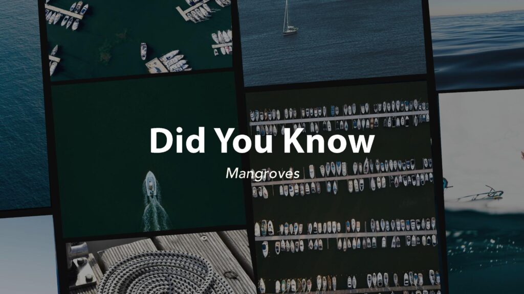 Did You Know: Boating Safety - Windward Marina Group